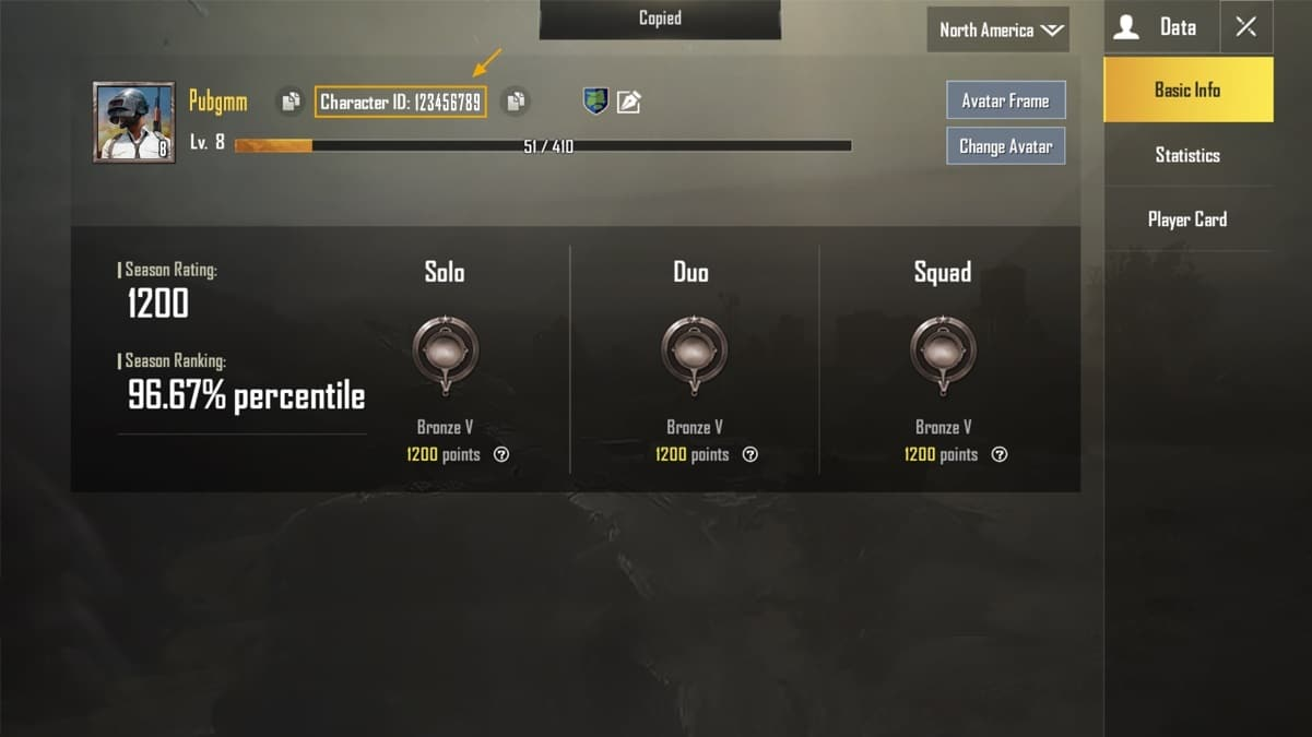 pubg-player-id